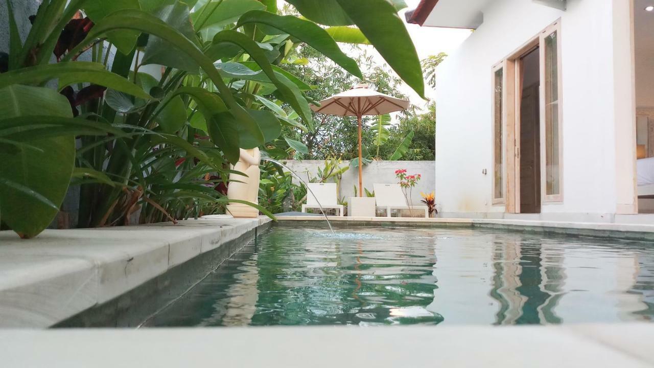 Villa Ummangur 2 Bedroom Private Villa Near Lovina Banjar  Екстериор снимка